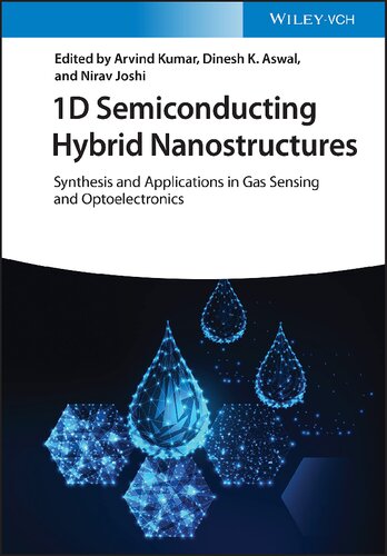 1D Semiconducting Hybrid. Nanostructures Synthesis and Applications in Gas Sensing and Optoelectronics (PDF/EPUB Version)
