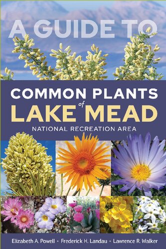 A Guide to Common Plants of Lake Mead National Recreation Area (PDF/EPUB Version)
