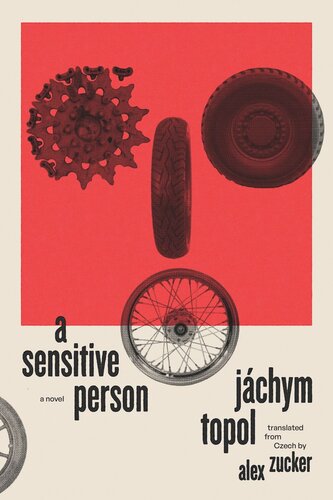 A Sensitive Person: A Novel (PDF/EPUB Version)
