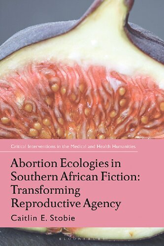 Abortion Ecologies in Southern African Fiction: Transforming Reproductive Agency (PDF/EPUB Version)
