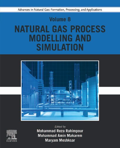 Advances in Natural Gas: Formation, Processing, and Applications, Volume 8: Natural Gas Process Modelling and Simulation (PDF/EPUB Version)