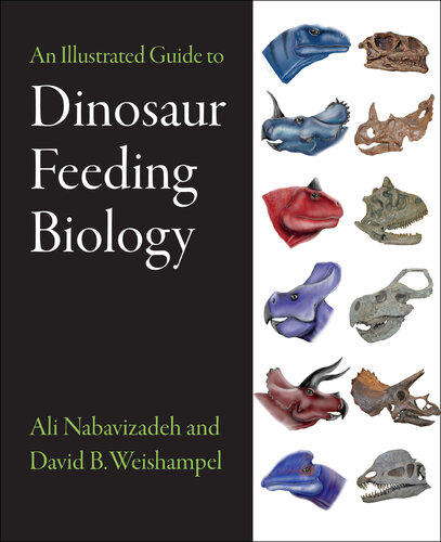 An Illustrated Guide to Dinosaur Feeding Biology (PDF/EPUB Version)
