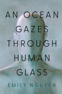 An Ocean Gazes Through Human Glass (PDF/EPUB Version)
