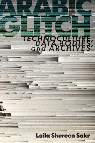 Arabic Glitch: Technoculture, Data Bodies, and Archives (PDF/EPUB Version)
