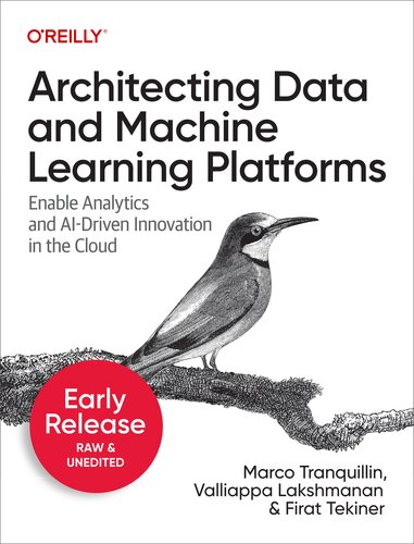 Architecting Data and Machine Learning Platforms (Second Early Release) (PDF/EPUB Version)
