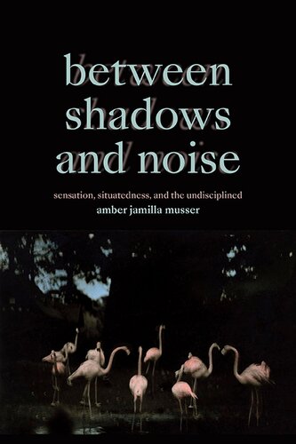 Between Shadows and Noise: Sensation, Situatedness, and the Undisciplined (PDF/EPUB Version)