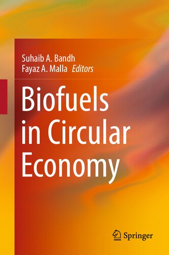 Biofuels in Circular Economy (PDF/EPUB Version)
