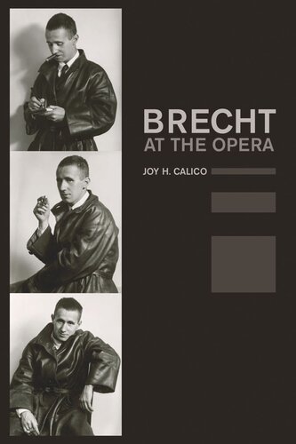 Brecht at the Opera (PDF/EPUB Version)
