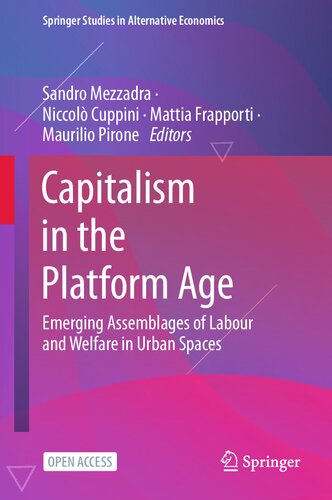 Capitalism in the Platform Age: Emerging Assemblages of Labour and Welfare in Urban Spaces (Springer Studies in Alternative Economics) (PDF/EPUB Version)