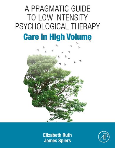 Care in High Volume: A Pragmatic Guide to Low Intensity Psychological Therapy (PDF/EPUB Version)
