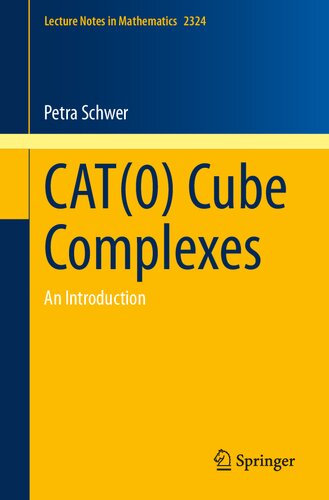 CAT(0) Cube Complexes: An Introduction (Lecture Notes in Mathematics, 2324) (PDF/EPUB Version)