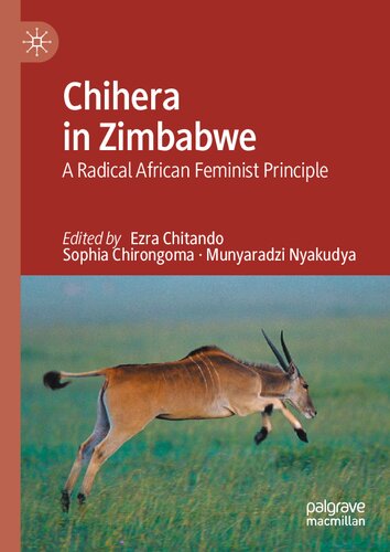 Chihera in Zimbabwe: A Radical African Feminist Principle (PDF/EPUB Version)
