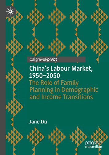 China's Labour Market, 1950–2050: The Role of Family Planning in Demographic and Income Transitions (Palgrave Studies in Economic History) (PDF/EPUB Version)
