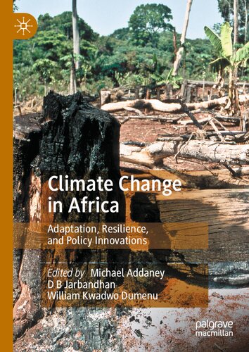 Climate Change in Africa: Adaptation, Resilience, and Policy Innovations (PDF/EPUB Version)
