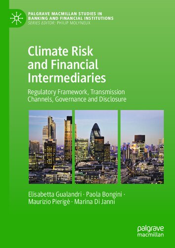 Climate Risk and Financial Intermediaries: Regulatory Framework, Transmission Channels, Governance and Disclosure (Palgrave Macmillan Studies in Banking and Financial Institutions) (PDF/EPUB Version)