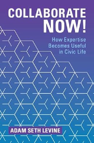 Collaborate Now!: How Expertise Becomes Useful in Civic Life (PDF/EPUB Version)