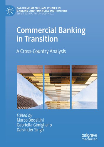 Commercial Banking in Transition: A Cross-Country Analysis (Palgrave Macmillan Studies in Banking and Financial Institutions) (PDF/EPUB Version)