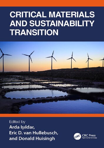 Critical Materials and Sustainability Transition (Theorizing Education) (PDF/EPUB Version)
