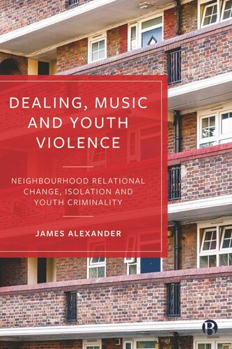 Dealing, Music and Youth Violence: Neighbourhood Relational Change, Isolation and Youth Criminality (PDF/EPUB Version)
