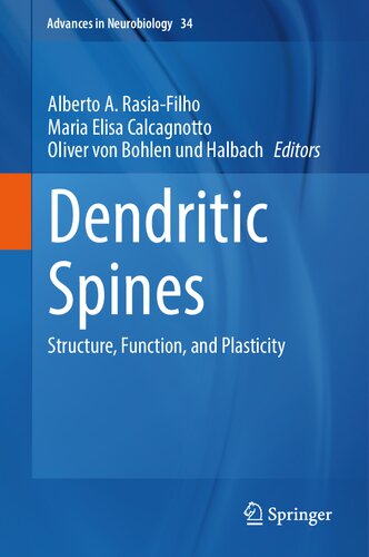 Dendritic Spines: Structure, Function, and Plasticity (Advances in Neurobiology, 34) (PDF/EPUB Version)

