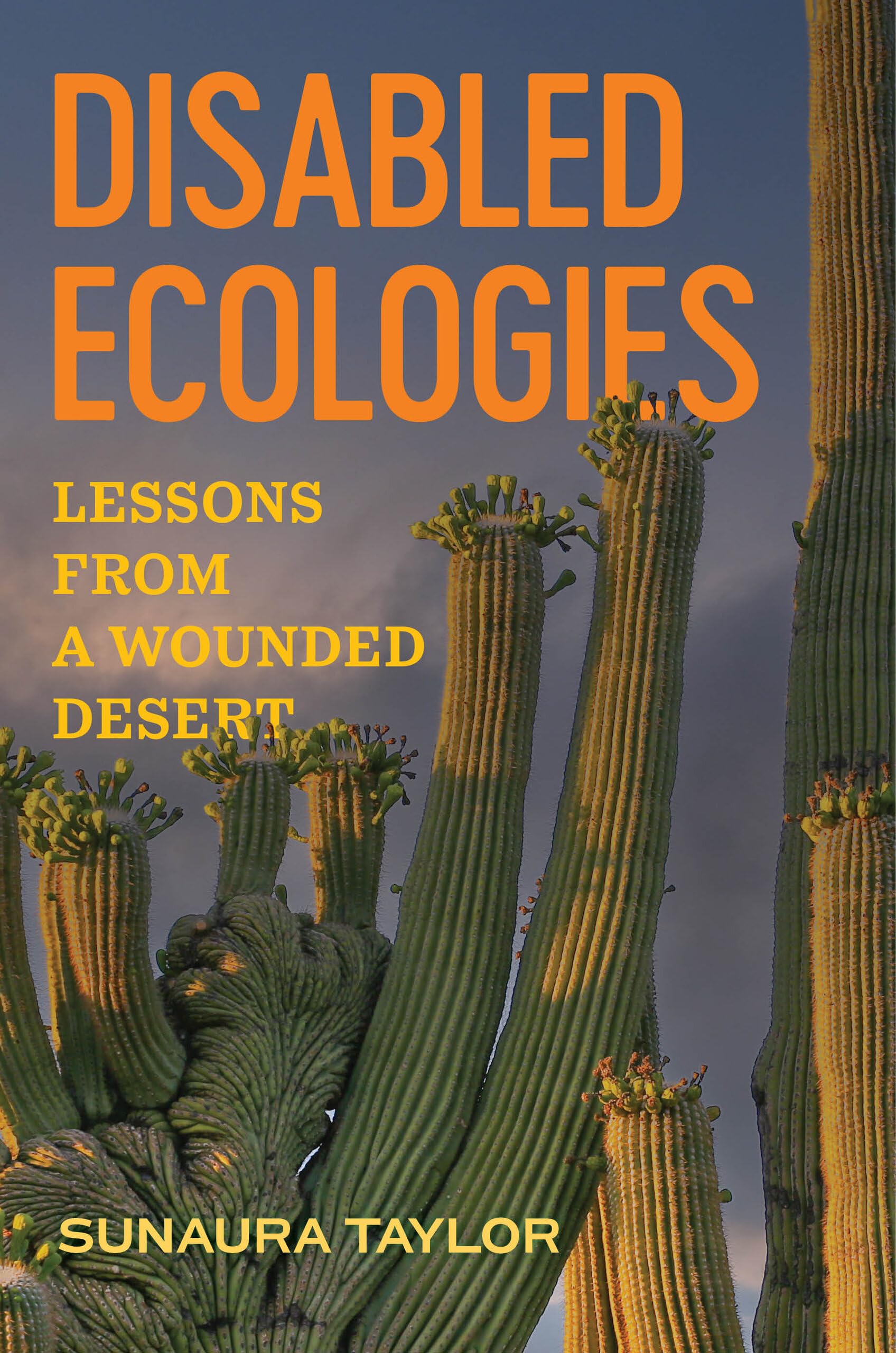 Disabled Ecologies: Lessons from a Wounded Desert (PDF/EPUB Version)