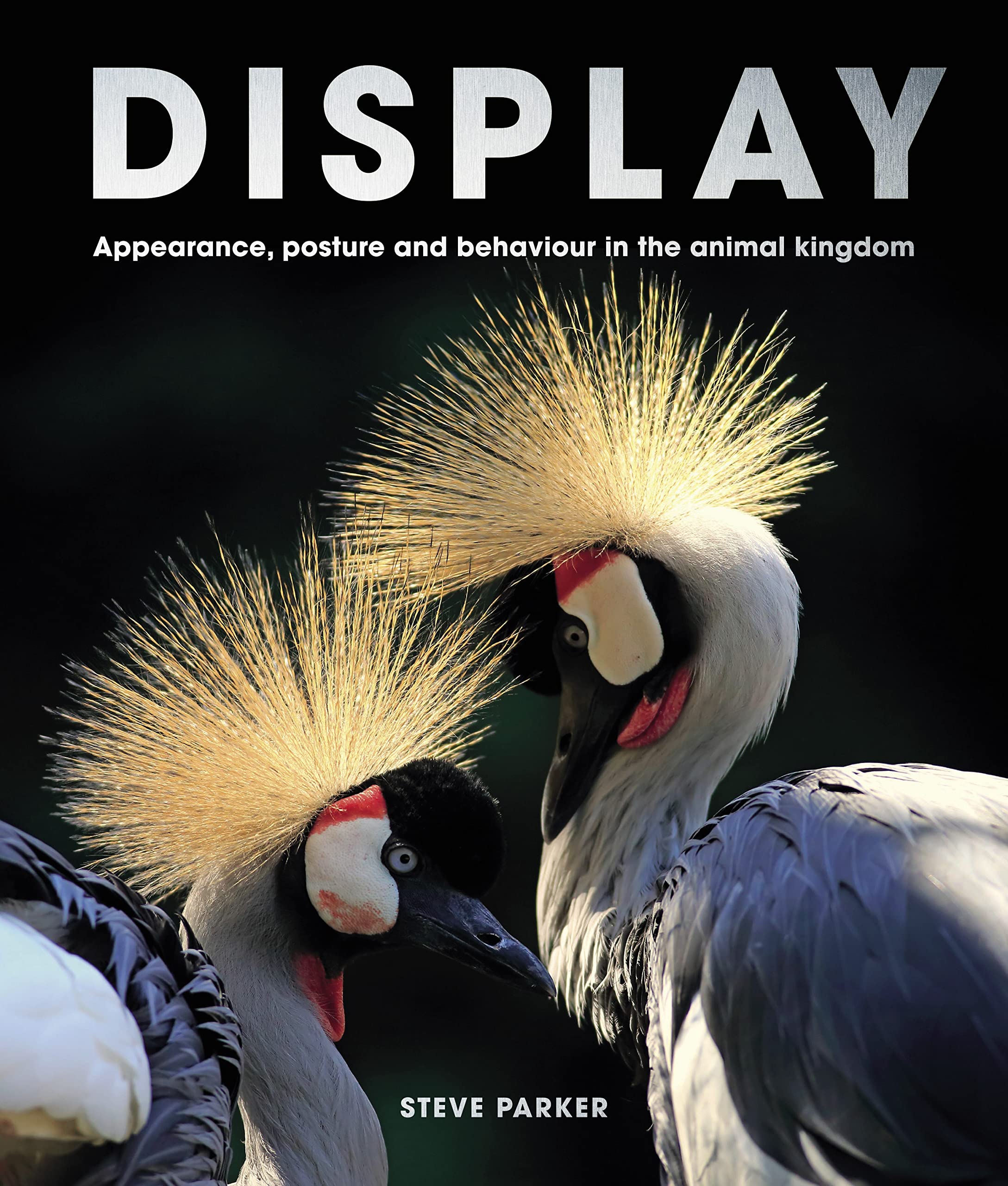 Display: Appearance, posture and behaviour in the animal kingdom (PDF/EPUB Version)
