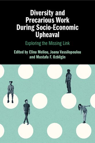 Diversity and Precarious Work During Socio-Economic Upheaval: Exploring the Missing Link (PDF/EPUB Version)