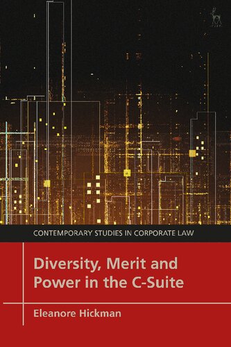 Diversity, Merit and Power in the C-Suite (PDF/EPUB Version)
