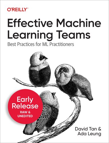Effective Machine Learning Teams (PDF/EPUB Version)
