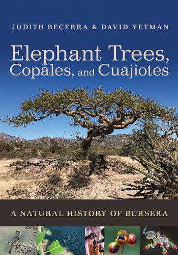 Elephant Trees, Copales, and Cuajiotes: A Natural History of Bursera (PDF/EPUB Version)