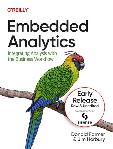 Embedded Analytics: Integrating Analysis with the Business Workflow (Sixth Early Release) (PDF/EPUB Version)

