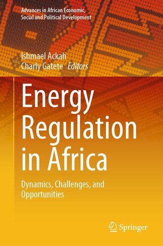 Energy Regulation in Africa: Dynamics, Challenges, and Opportunities (Advances in African Economic, Social and Political Development) (PDF/EPUB Version)