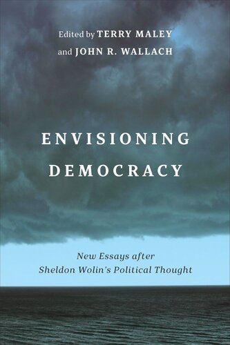Envisioning Democracy: New Essays after Sheldon Wolin’s Political Thought (PDF/EPUB Version)
