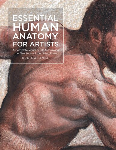 Essential Human Anatomy for Artists (PDF/EPUB Version)
