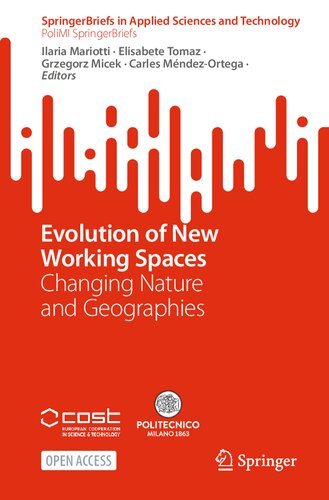 Evolution of New Working Spaces: Changing Nature and Geographies (PoliMI SpringerBriefs) (PDF/EPUB Version)
