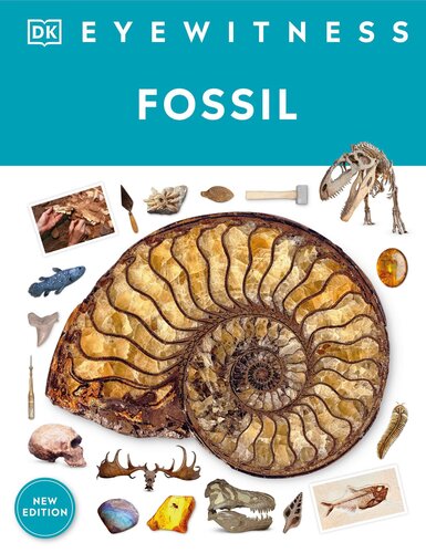 Eyewitness Fossil (PDF/EPUB Version)
