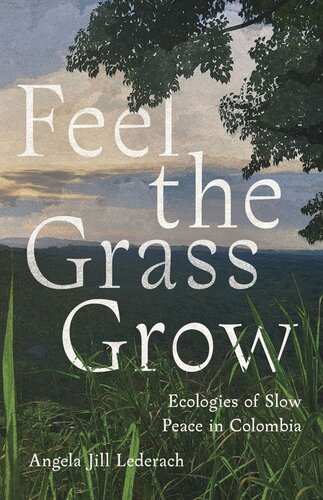 Feel the Grass Grow: Ecologies of Slow Peace in Colombia (PDF/EPUB Version)
