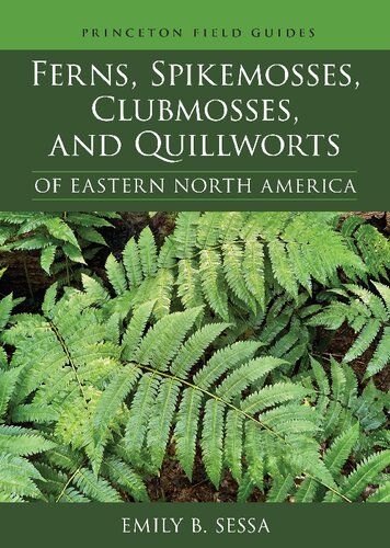 Ferns, Spikemosses, Clubmosses, and Quillworts of Eastern North America (Princeton Field Guides, 150) (PDF/EPUB Version)