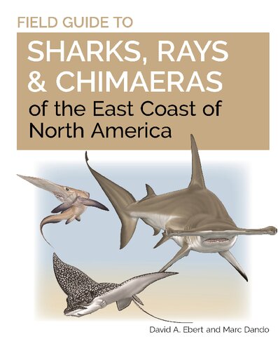 Field Guide to Sharks, Rays, & Chimaeras of the East Coast of North America (PDF/EPUB Version)