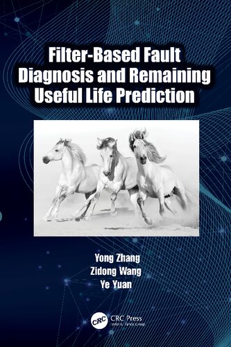 Filter-Based Fault Diagnosis and Remaining Useful Life Prediction (PDF/EPUB Version)
