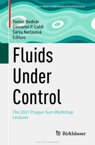 Fluids Under Control: The 2021 Prague-Sum Workshop Lectures (PDF/EPUB Version)
