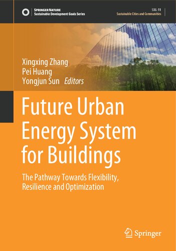 Future Urban Energy System for Buildings: The Pathway Towards Flexibility, Resilience and Optimization (PDF/EPUB Version)
