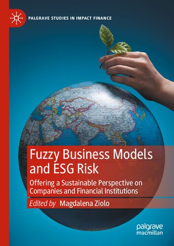 Fuzzy Business Models and ESG Risk: Offering a Sustainable Perspective on Companies and Financial Institutions (Palgrave Studies in Impact Finance) (PDF/EPUB Version)
