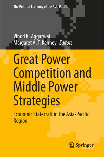 Great Power Competition and Middle Power Strategies: Economic Statecraft in the Asia-Pacific Region (The Political Economy of the Asia Pacific) (PDF/EPUB Version)
