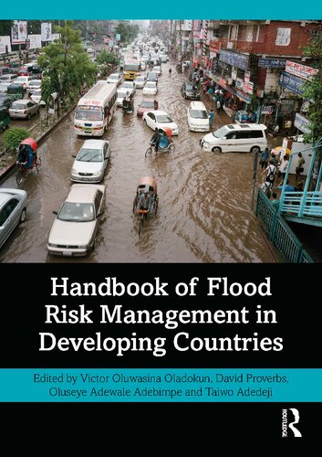 Handbook of Flood Risk Management in Developing Countries (PDF/EPUB Version)
