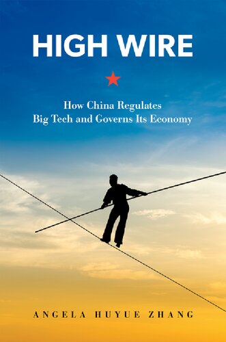 High Wire: How China Regulates Big Tech and Governs Its Economy (PDF/EPUB Version)