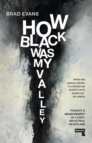 How Black Was My Valley: Poverty and Abandonment in a Post-Industrial Heartland (PDF/EPUB Version)