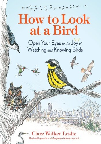 How to Look at a Bird (PDF/EPUB Version)
