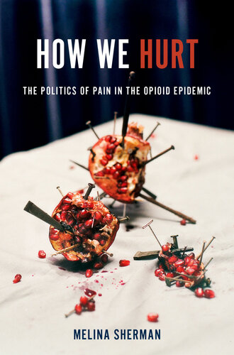 How We Hurt: The Politics of Pain in the Opioid Epidemic (PDF/EPUB Version)