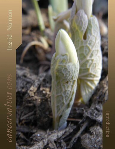 Hoxsey Cancer Salves: A Botanical Approach to Treatment (PDF/EPUB Version)
